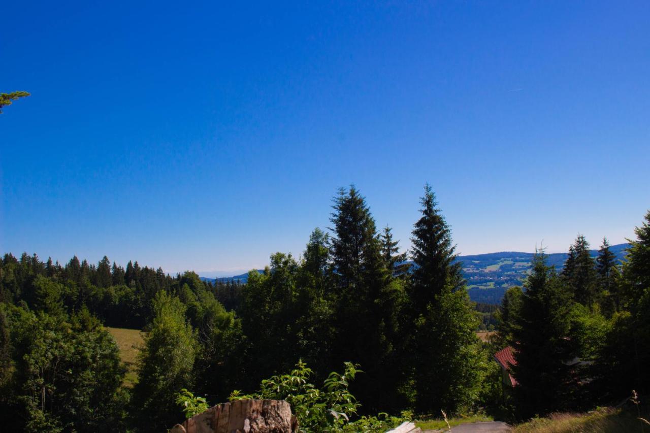 Ferienhaus Ploeckenstein Schwarzenberg am Bohmerwald エクステリア 写真