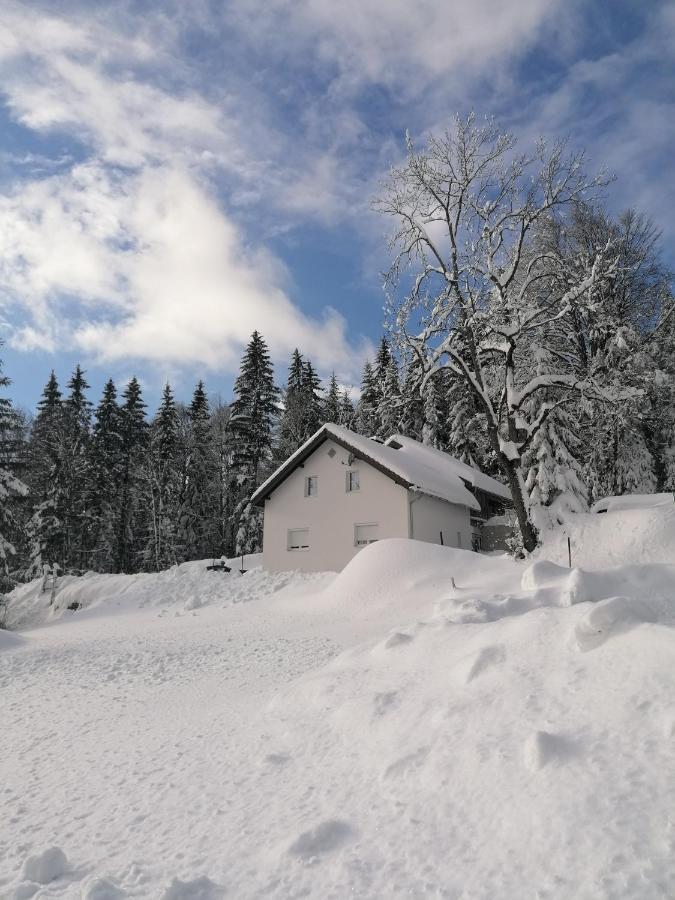 Ferienhaus Ploeckenstein Schwarzenberg am Bohmerwald エクステリア 写真