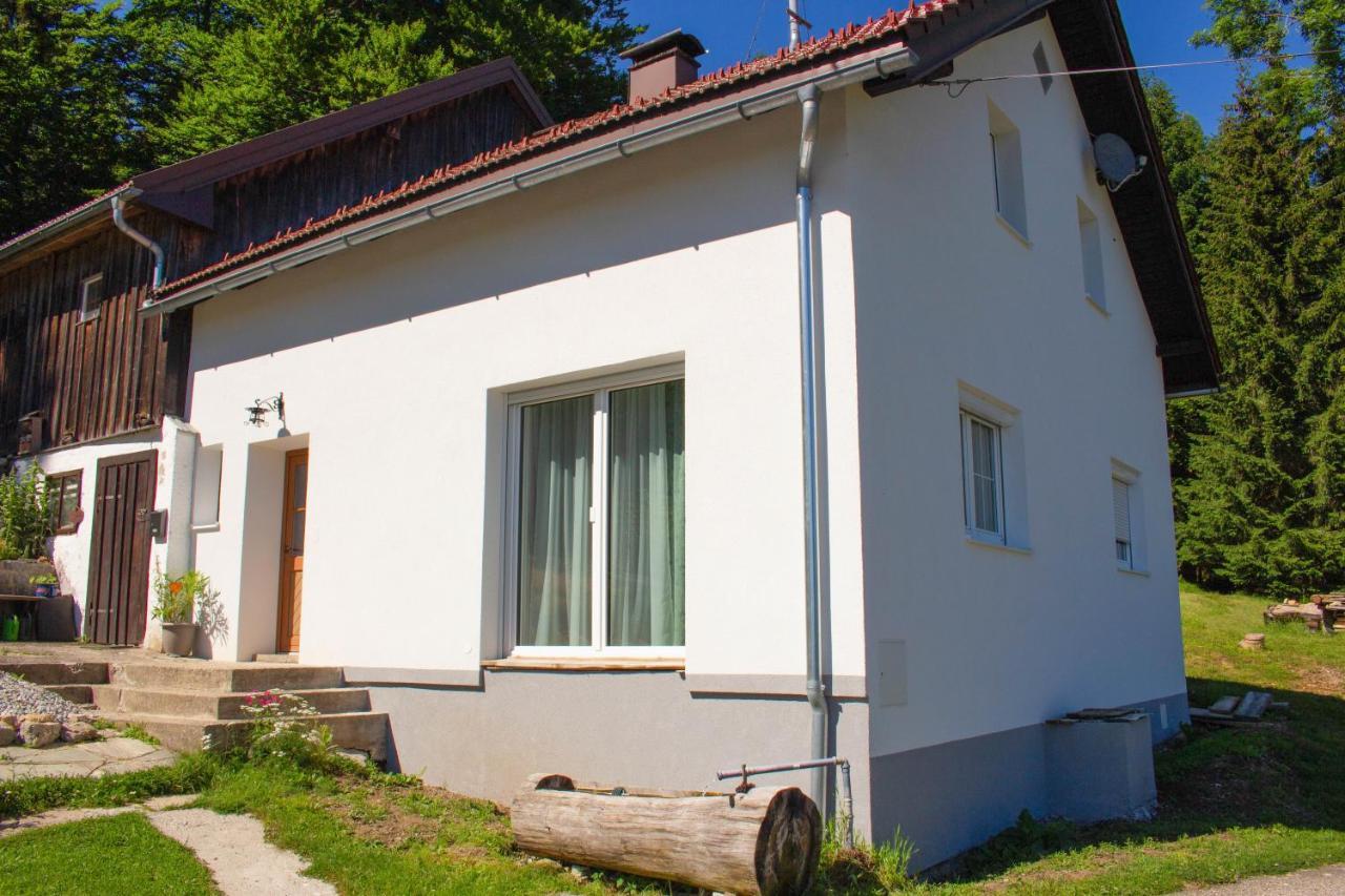 Ferienhaus Ploeckenstein Schwarzenberg am Bohmerwald エクステリア 写真