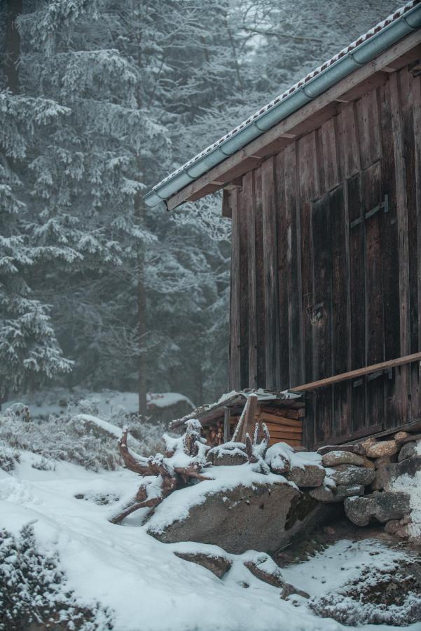 Ferienhaus Ploeckenstein Schwarzenberg am Bohmerwald エクステリア 写真