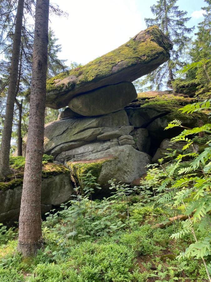 Ferienhaus Ploeckenstein Schwarzenberg am Bohmerwald エクステリア 写真